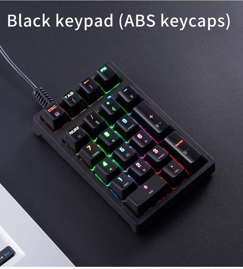 T21 Mini Number Keypad RGB Bac - Keyboard Gaming Blue Switch 评论和价格